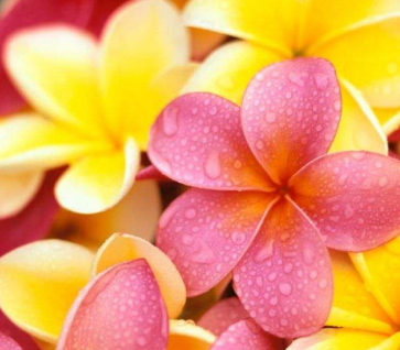 讀溪山煙雨樓詩存（外二首）