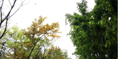 我與四季同框（外一首）