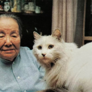 冰心怒斥香港野雞書店