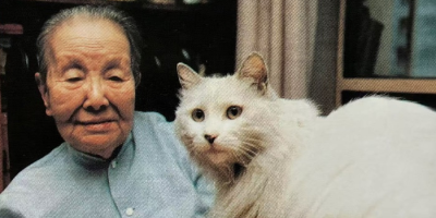 冰心怒斥香港野雞書店