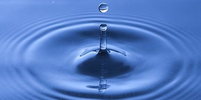 我的寫作與水的關係