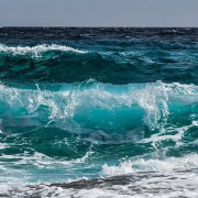 卷首語：冥思文學海洋的快樂