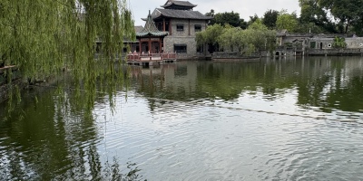 賞荷、觀寺院之貓、詠可園